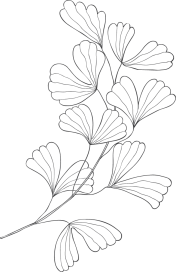 Fotografía familiar en Bilbao, Fotografía de comuniones Bilbao, Estudio fotográfico Bilbao, Fotografía de embarazo en Bilbao, Fotografía de bodas Bilbao, Sesiones de fotos para niños Bilbao, Fotografía de nacimientos Bilbao, Retratos profesionales Bilbao, Fotografía para empresas Bilbao, Sesiones de smashcake Bilbao, Fotografía infantil Bilbao, Estudio de fotografía en Bilbao